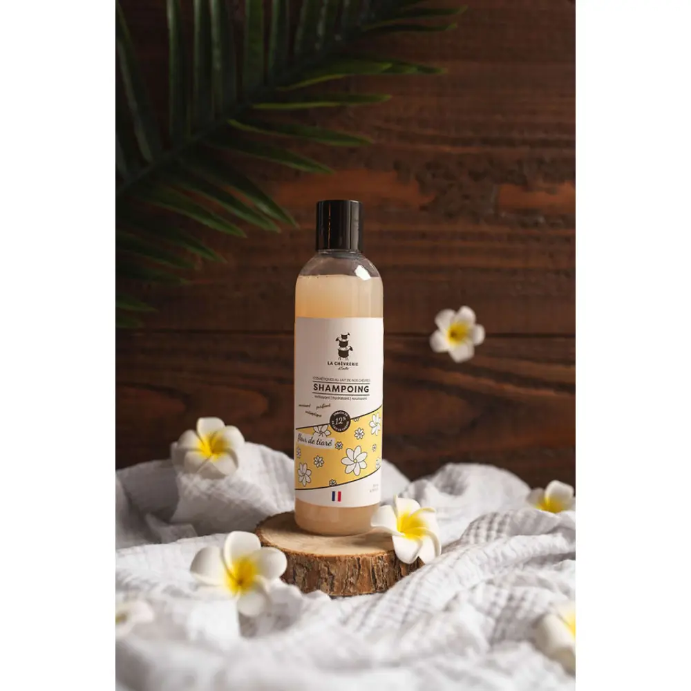 346053_e5be308b24b04aacbf04de0452edd7c9~mv2