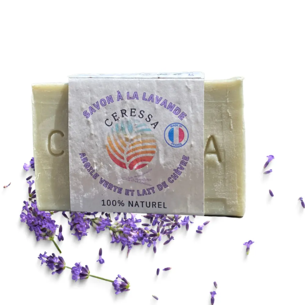 b2a119_f7ce3ec1ba9f4a58a5831f24f1e26abc~mv2