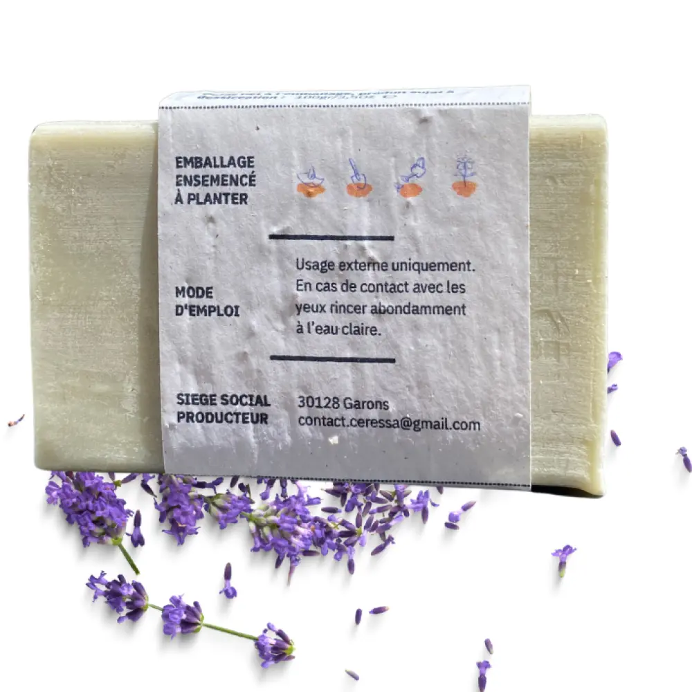 b2a119_f07da467b5dd432dac999eee84136bc7~mv2