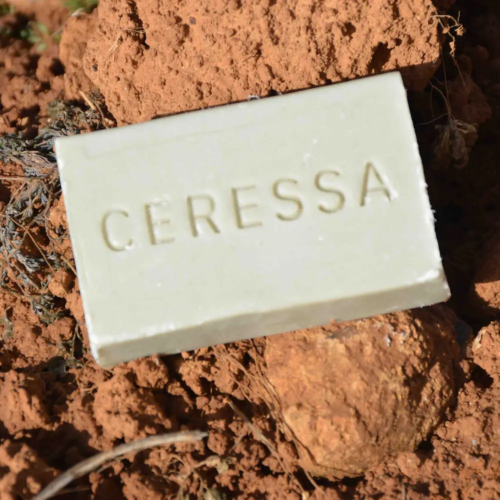 b2a119_a36a35bf9e674ff897aae83c3375bdbe~mv2