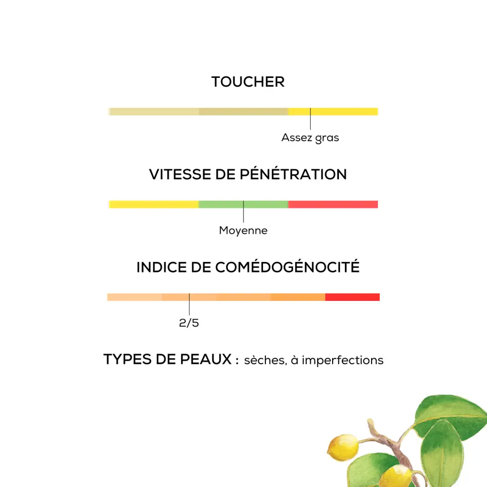 6_ff98138b-0663-4382-a356-b300e9611969