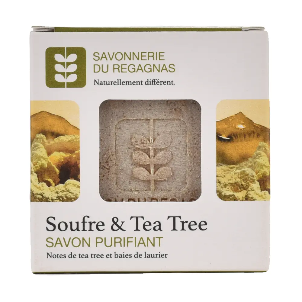 DSC_1181-3760209870213