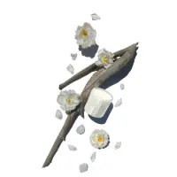 FleurdeSelSubstantial