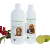 Screenshot 2023-10-27 at 16.33 Background Removed.53