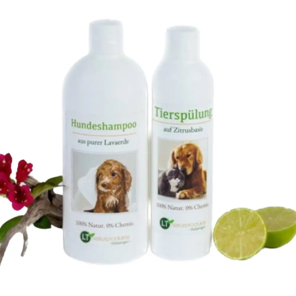 Screenshot 2023-10-27 at 16.33 Background Removed.53