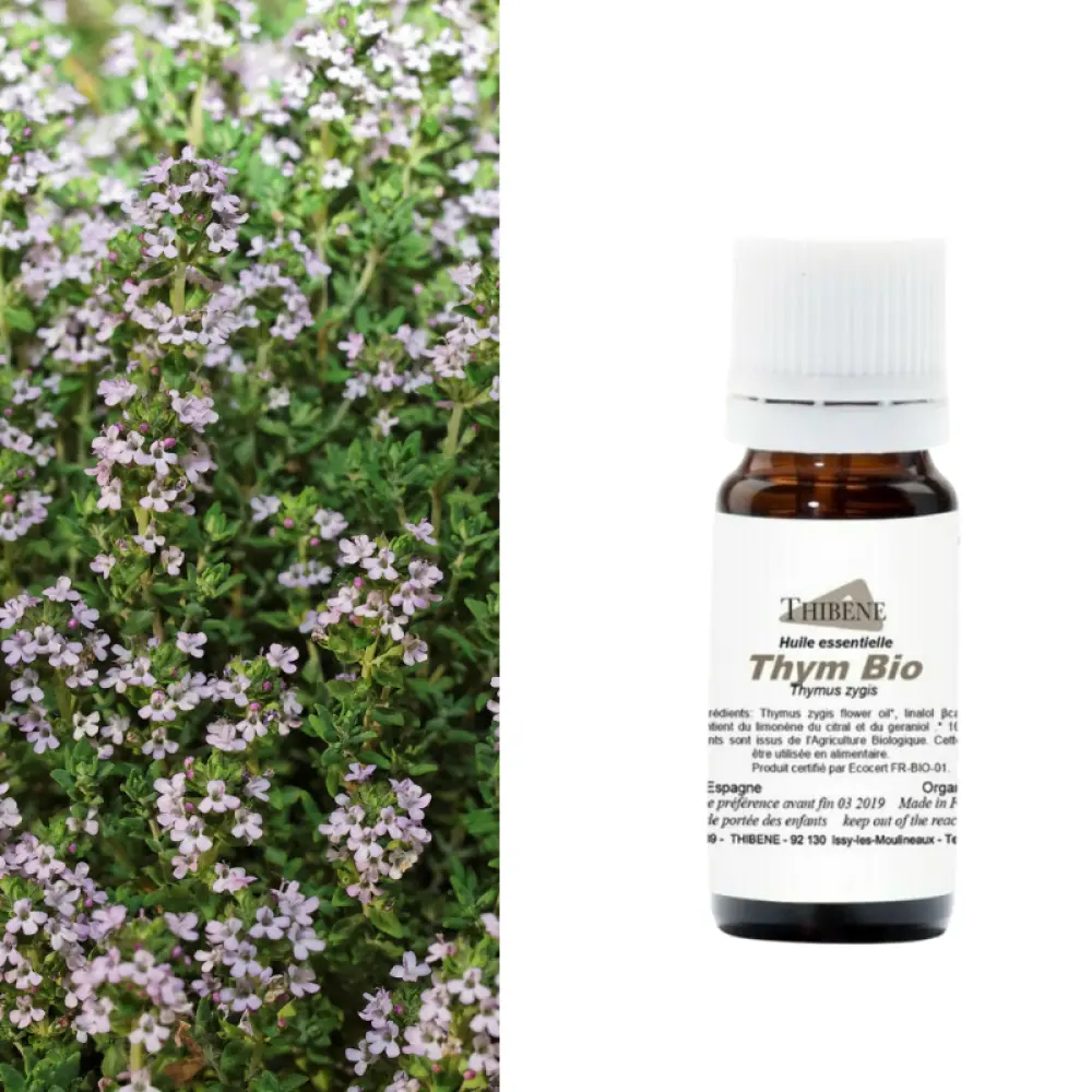 thym-linalol