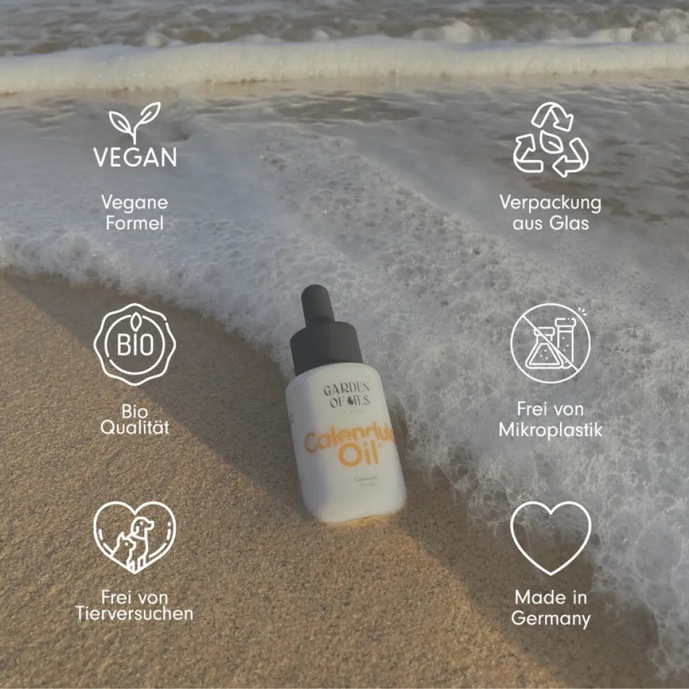 Calendula_Icons_Shop-1