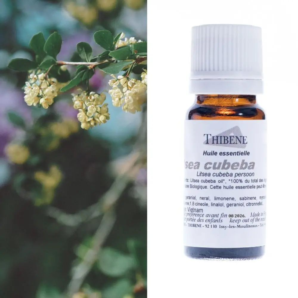 litsea-cubeba