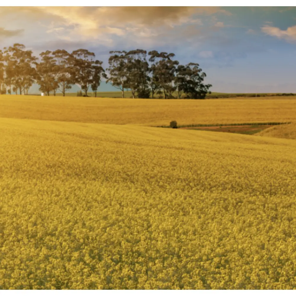 Screenshot 2023-12-18 at 14.16.47