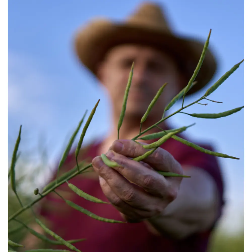 Screenshot 2023-12-18 at 14.26.38