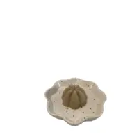 1000003327-removebg-preview