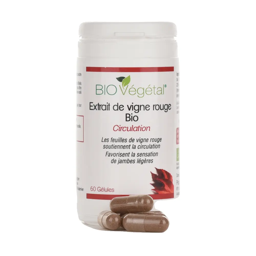 DSC_2418-3760235030636