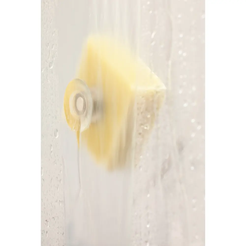 CharlottedeSchutter__1