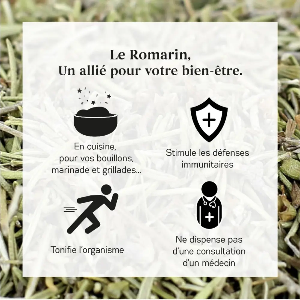 Romarin_3