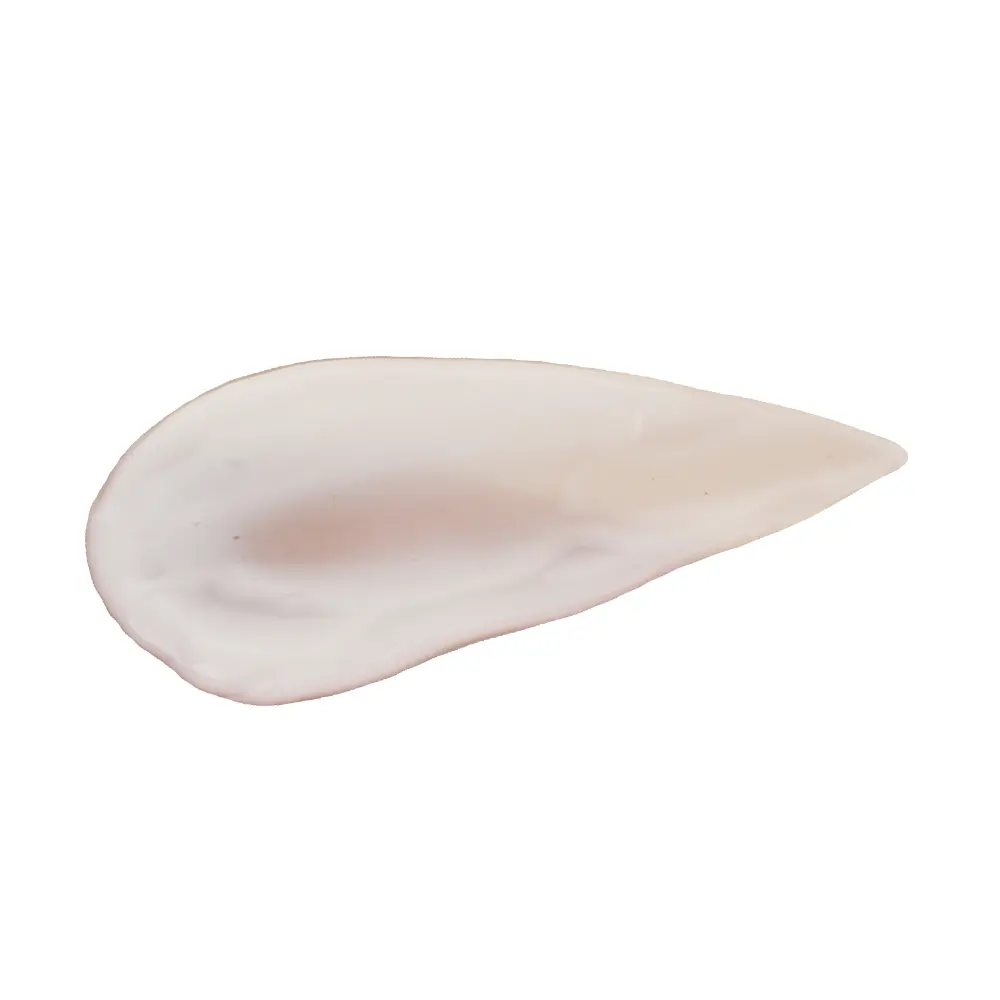 DSC_2690-3760091820327