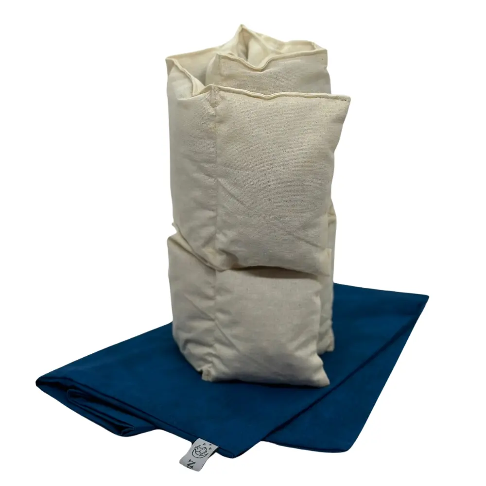 55x25 V2 - Blau ohne Hintergrund