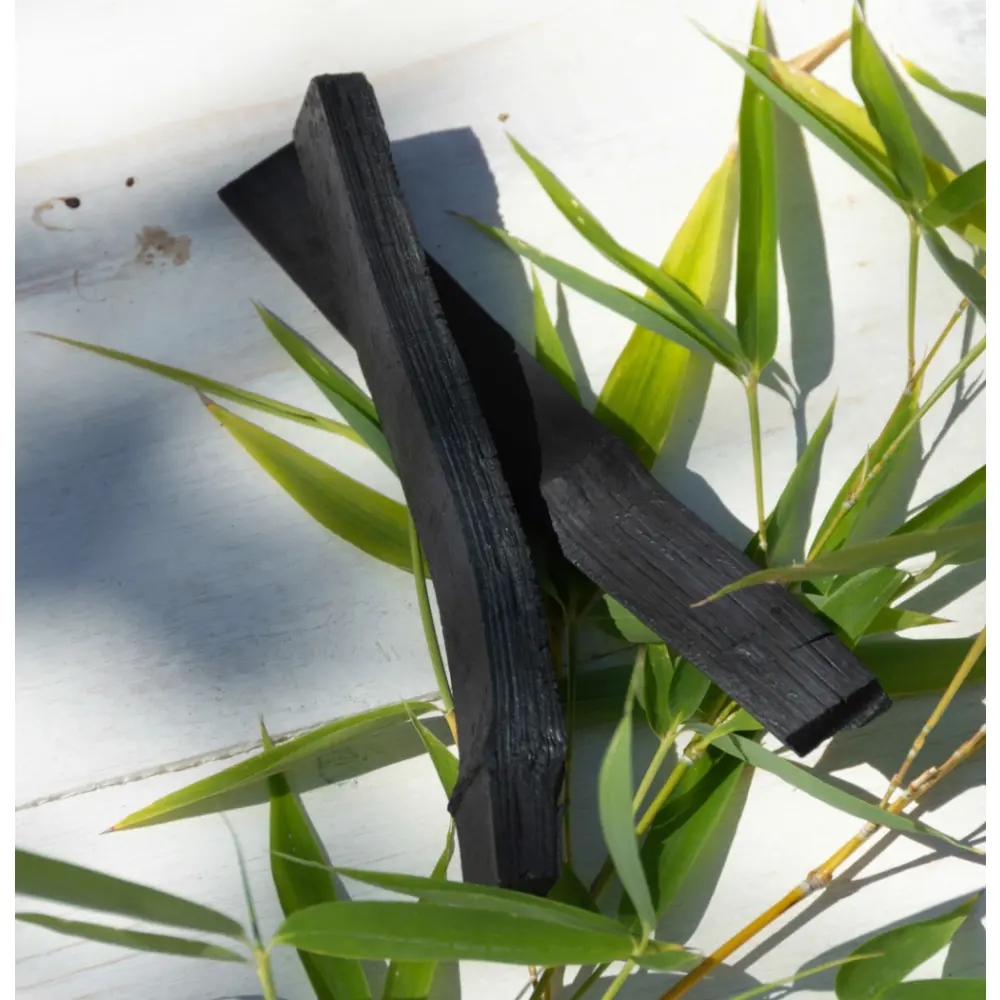 zero-charbon-vegetal-actif-pour-gourde