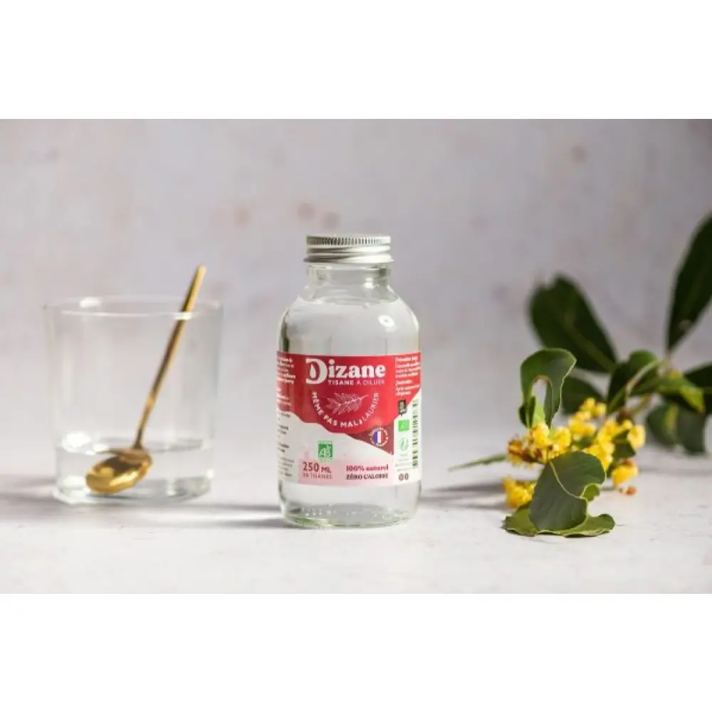 Dizane-meme-pas-mal-e1685635115462