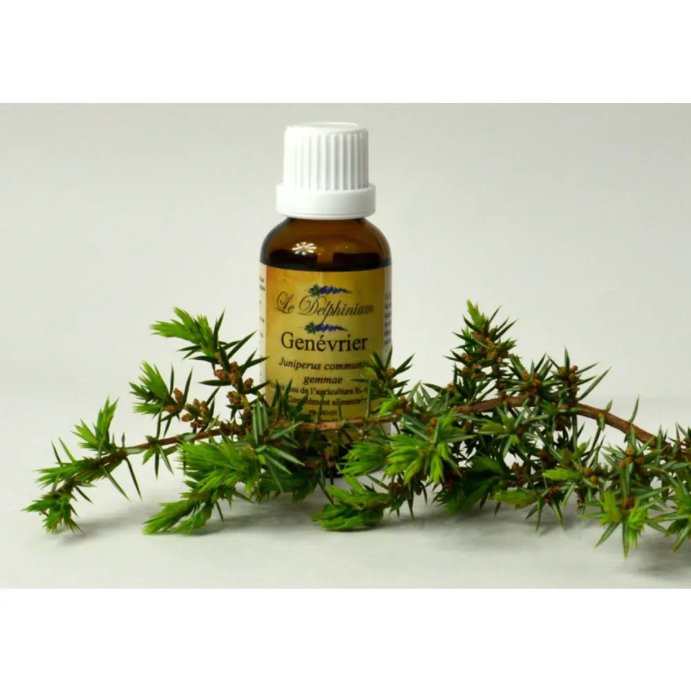 Genévrier