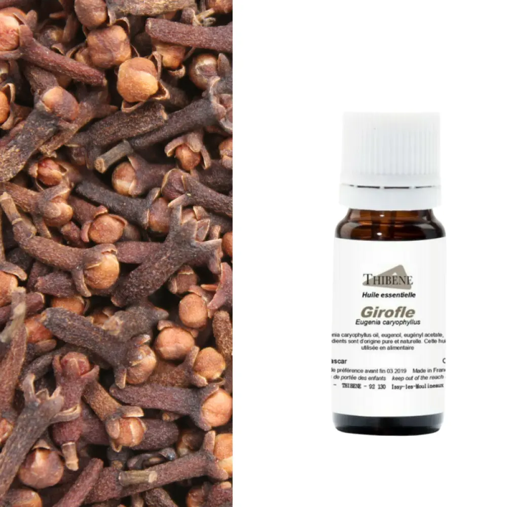 girofle-clou