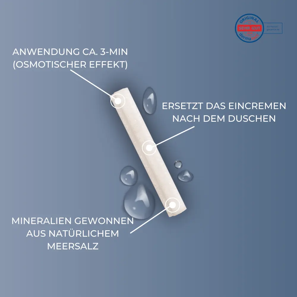 Bildschirmfoto2024-03-31um14.51.09