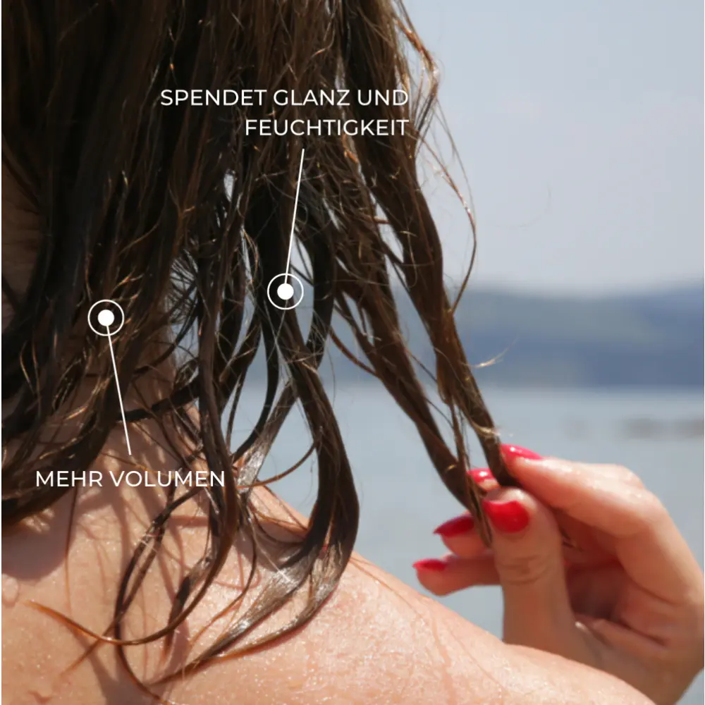 Bildschirmfoto2024-03-31um15.03.14