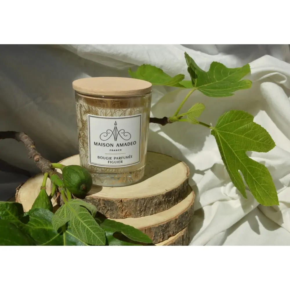 bougie-parfumee-figuier