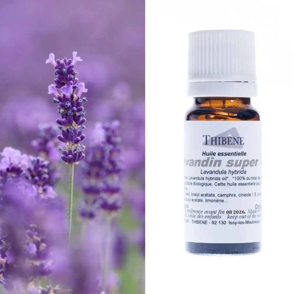 lavandin-super