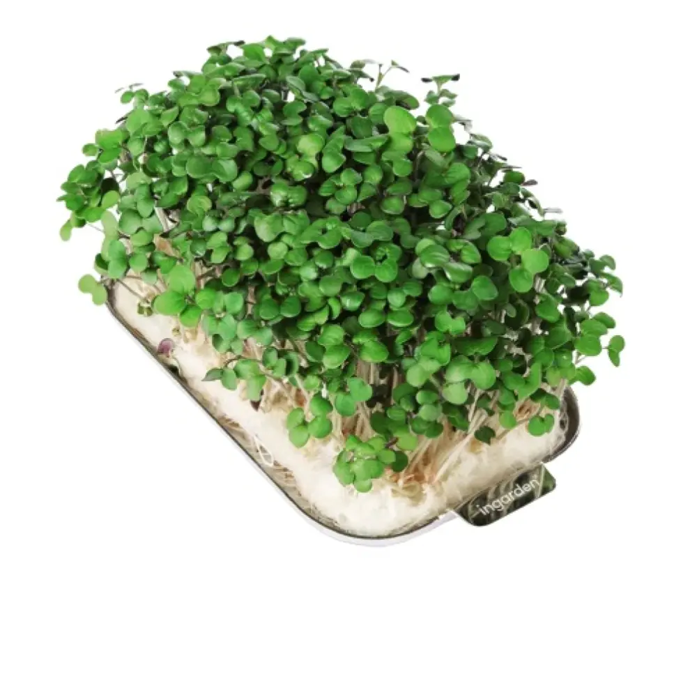 Screenshot_2023-04-25_at_16.04.27-removebg-preview