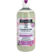 shampooing-keratine-cheveux-fragilises-et-indisciplines-500ml
