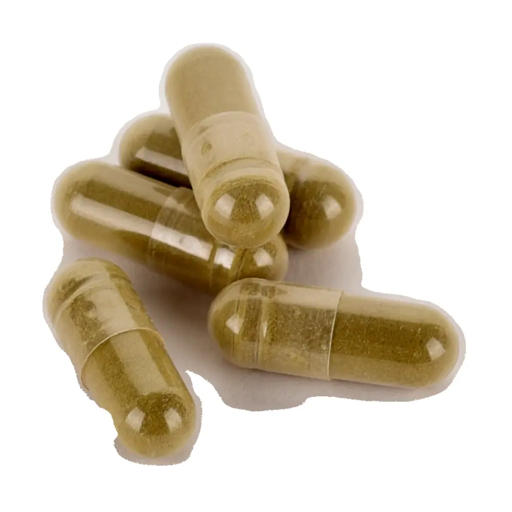 DSC_4468-3770014345011