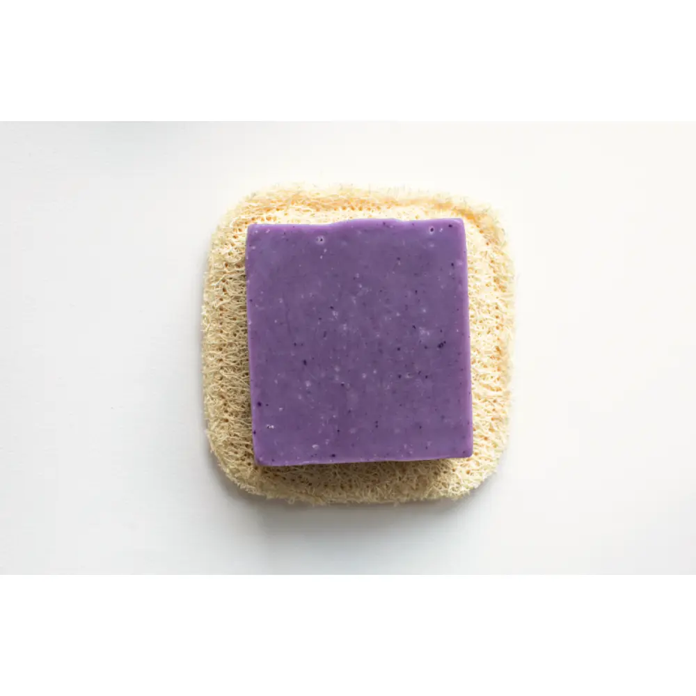 CharlottedeSchutter__32_1