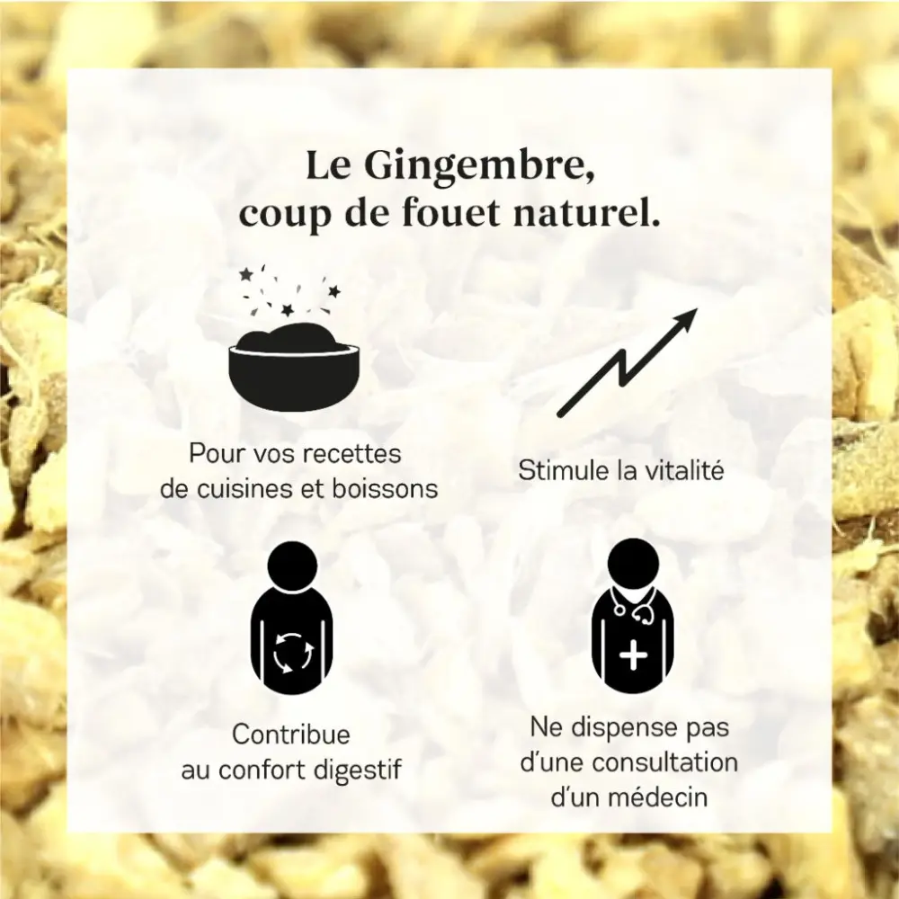 Gingembre_3