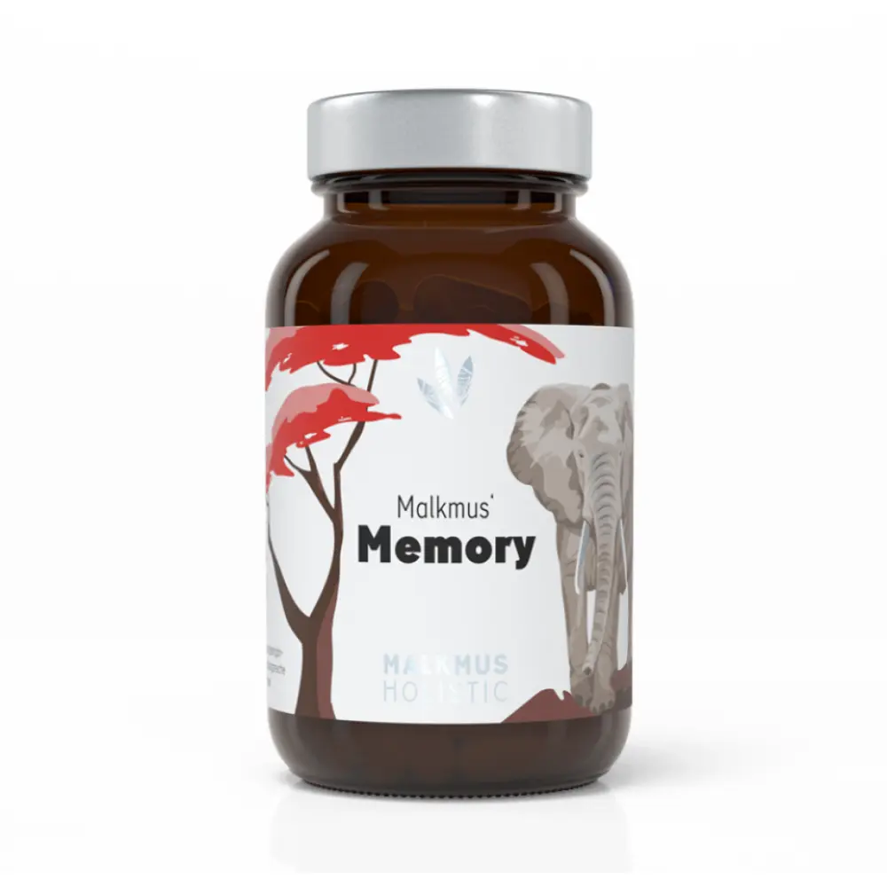 memory-der-brainbooster-fur-mentale-fitness-und-geistige-leistungsfahigkeit-684823
