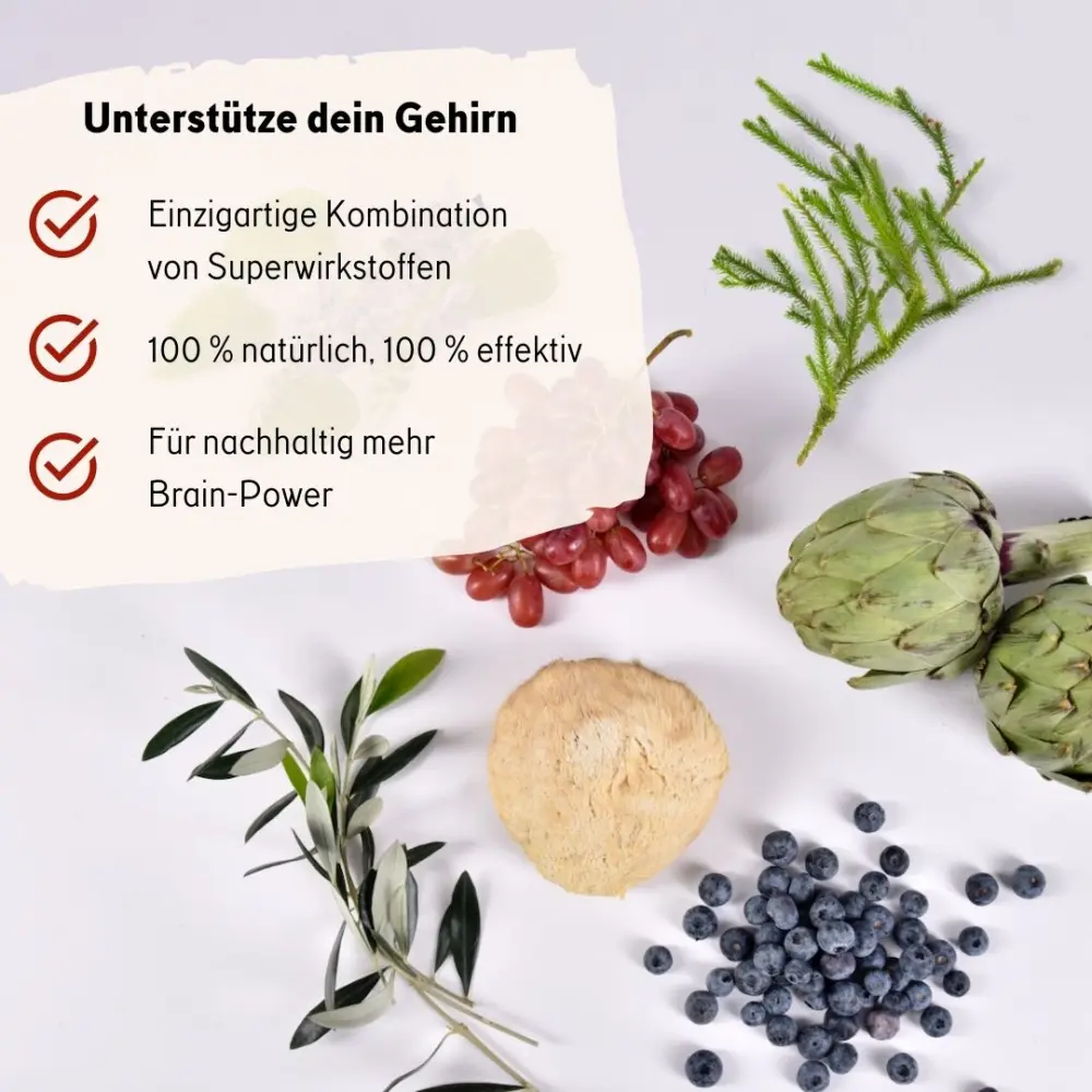 memory-der-brainbooster-fur-mentale-fitness-und-geistige-leistungsfahigkeit-323118