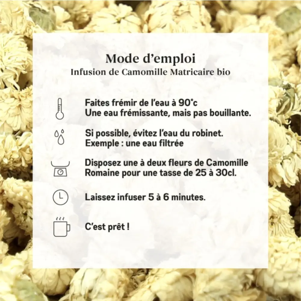 CamomilleRomaine _4jpg