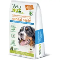sac-vetonut-chien-grand-articulation-senior