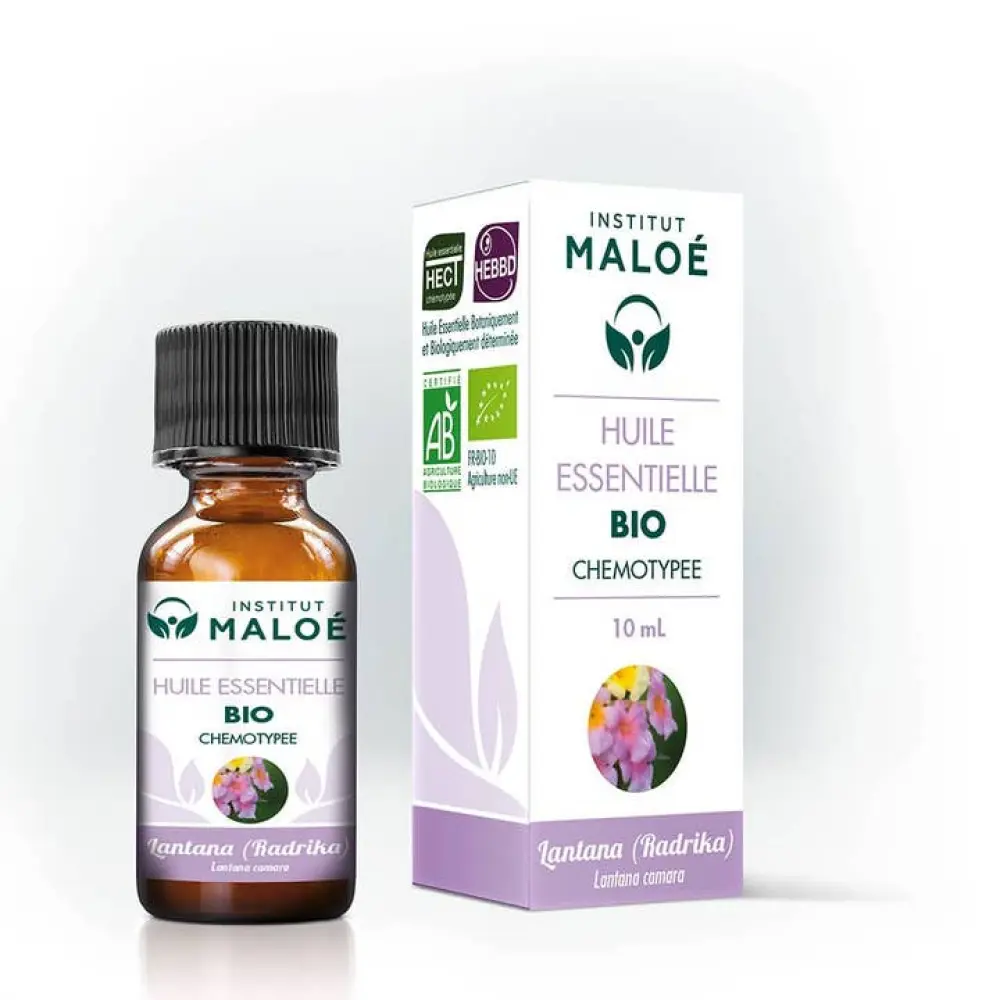 8eab376ef5b99d578588ade43c7a3ad0815eecc737e07eb83f55c38a7a5c562b