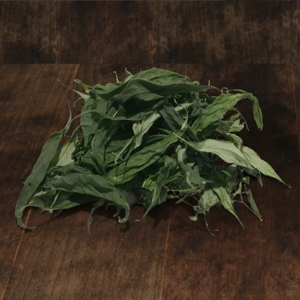 IMG_20211116_102802-1