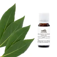 eucalyptus-dives-eucalyptus-menthole