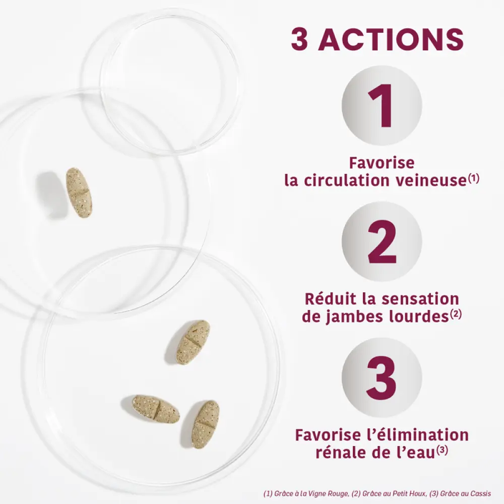 FLUIDIVEINE_1400X1400px2_800x