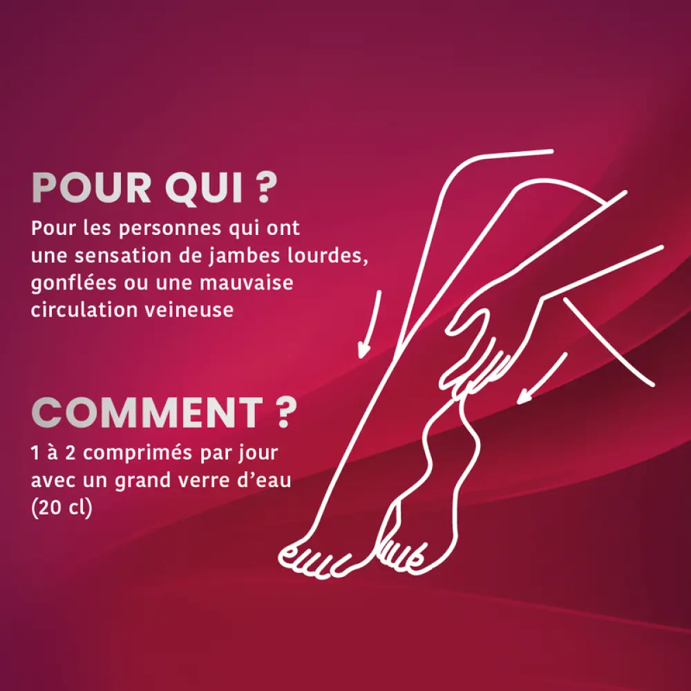 FLUIDIVEINE_1400X1400px3_800x