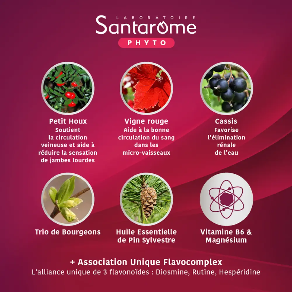 FLUIDIVEINE_1400X1400px4_800x