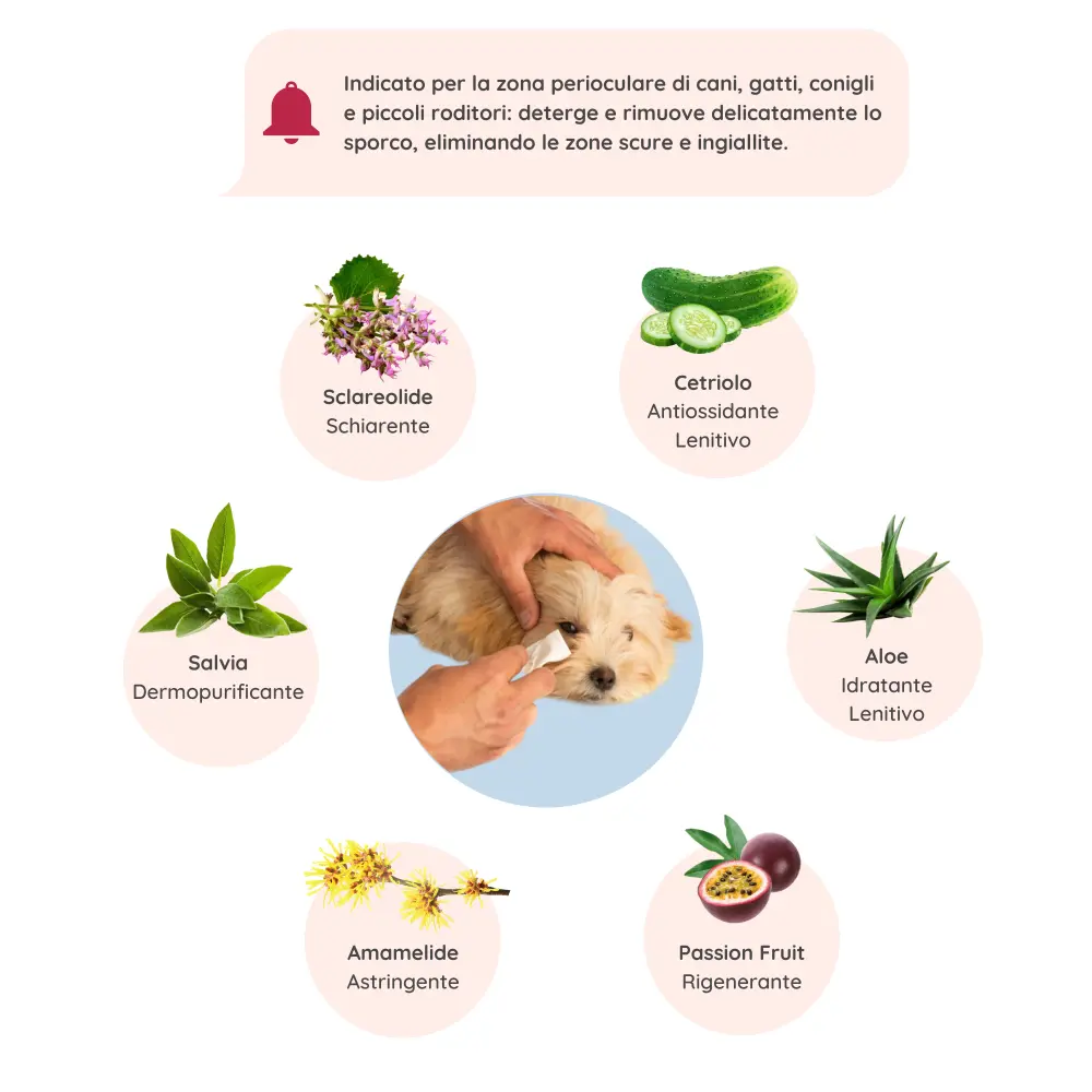 Cliccaquieparlaconunesperto_38