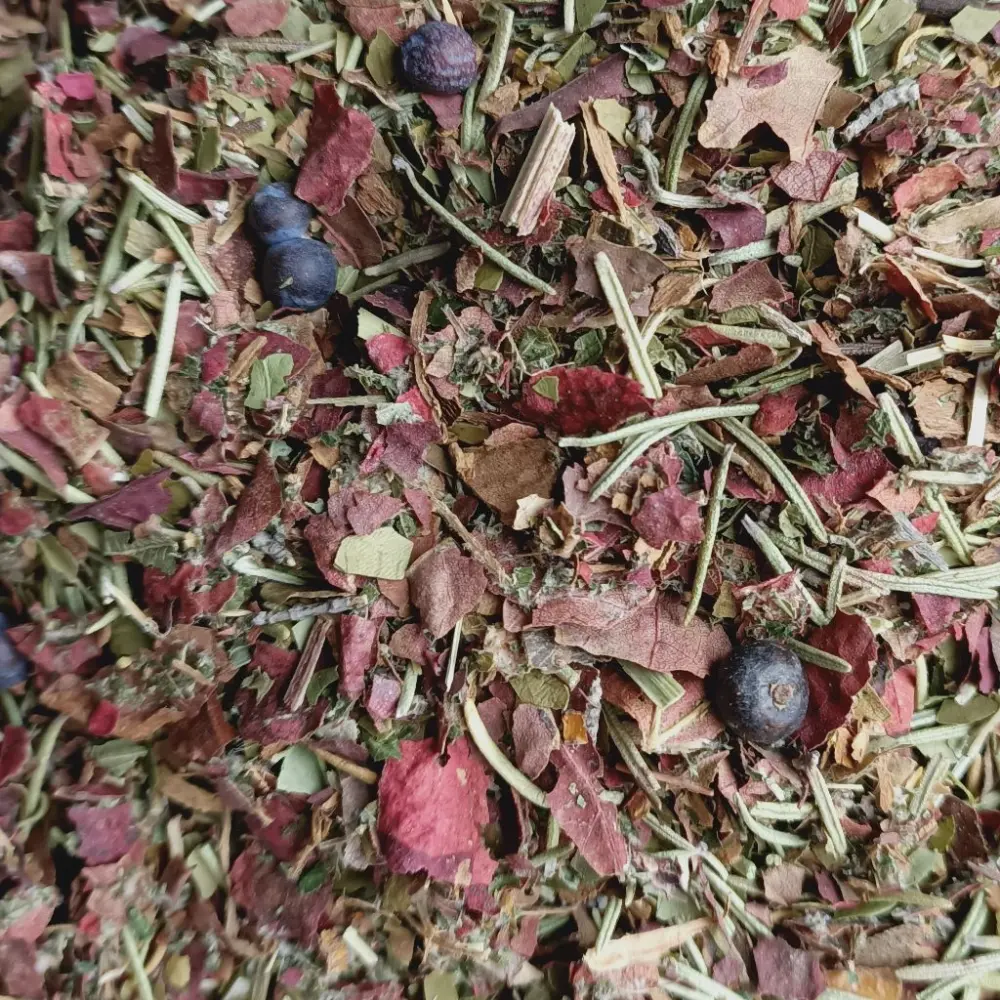 Brûle-graisses plantes