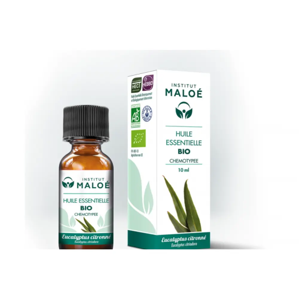 maloe-he-eucalyptus-citronne-10ml-fr-1base