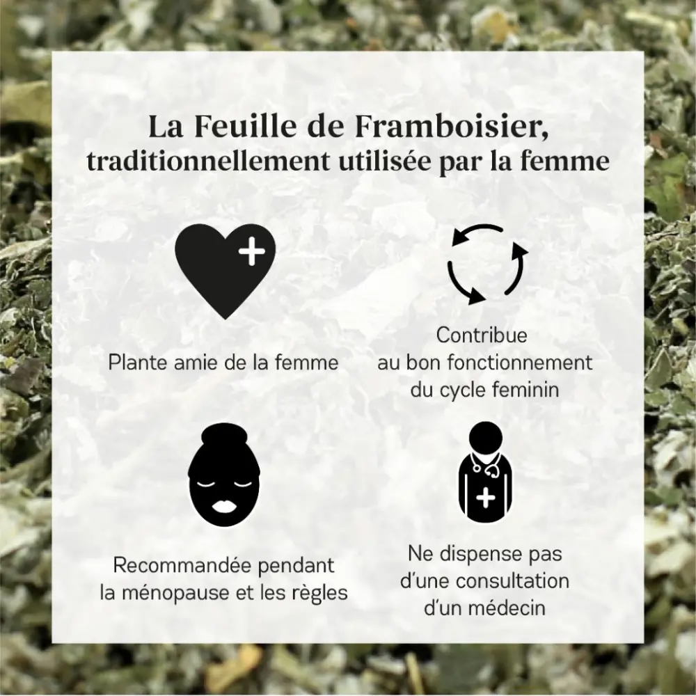 Framboisier_3