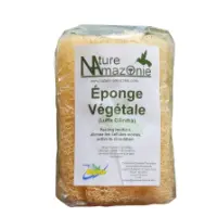 luffa nature amazonie-PhotoRoom.png-PhotoRoom