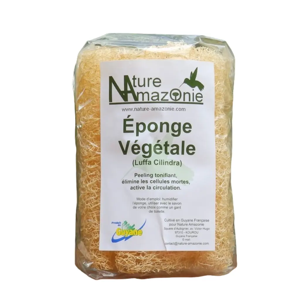 luffa nature amazonie-PhotoRoom.png-PhotoRoom