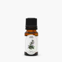 Essential-Oil-Clary-Sage